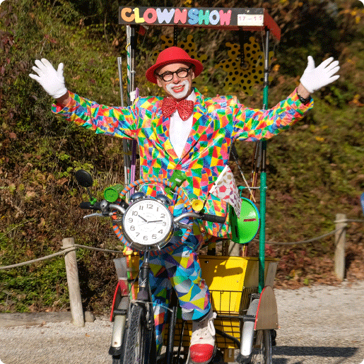 Maskottchen_Bild_Clown Miko